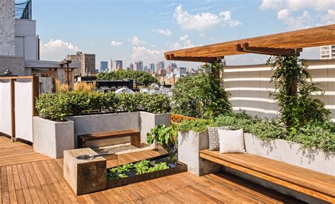 How To Build A Roof Top Garden - Encycloall