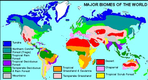 Map of Biome