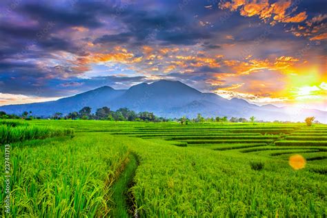 beauty on morning light with amazing sky and color in indonesia nature ...