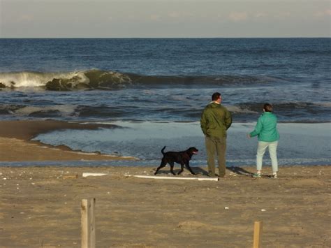 Camping in the Outer Banks