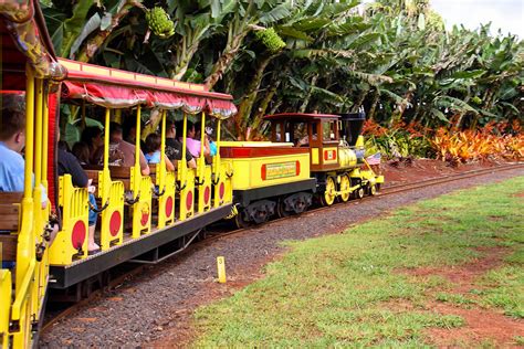 Your Guide To Visiting The Dole Plantation In Oahu, Hawaii | TouristSecrets