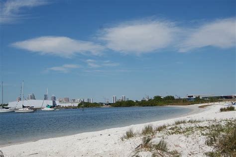 Davis Island Dog Beach (Tampa) - All You Need to Know BEFORE You Go ...