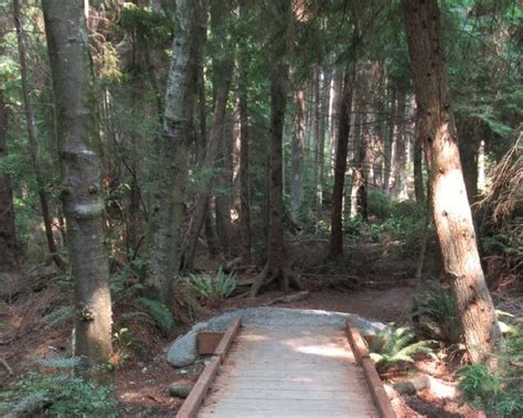 Three of the Best Hikes on Whidbey Island — The Mountaineers