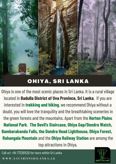 Plan your next trip to Ohiya-Sri Lanka - Safari in Sri Lanka - Medium