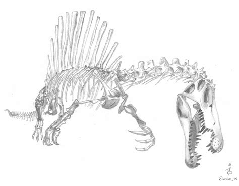 Spinosaurus_aegyptiacus_skeleton_by_Elesse_15 | Skeleton drawings ...