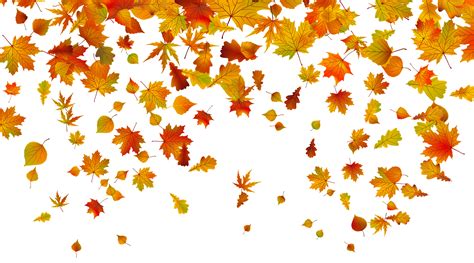 Transparent Fall Leaves PNG Clipart Image | Gallery Yopriceville - High ...