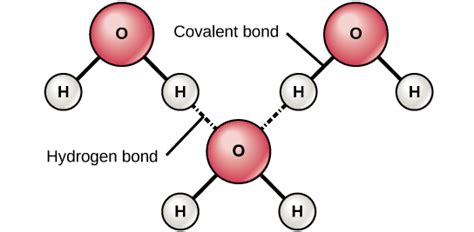 SS2 Chemistry Lesson Note On Water - Erudites Academy