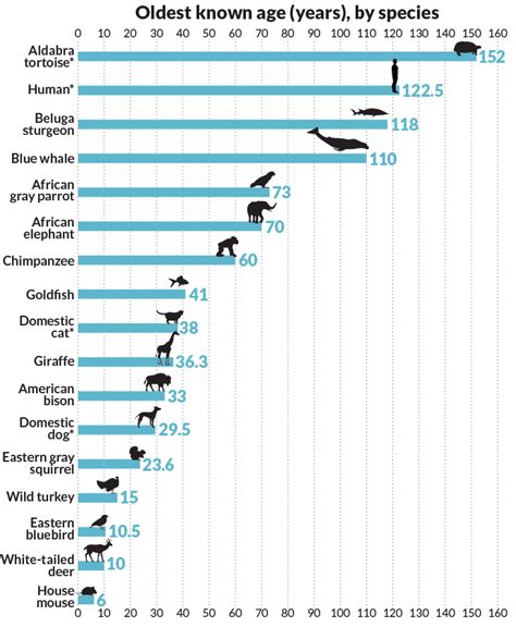 What animals’ life spans can tell us about how people age