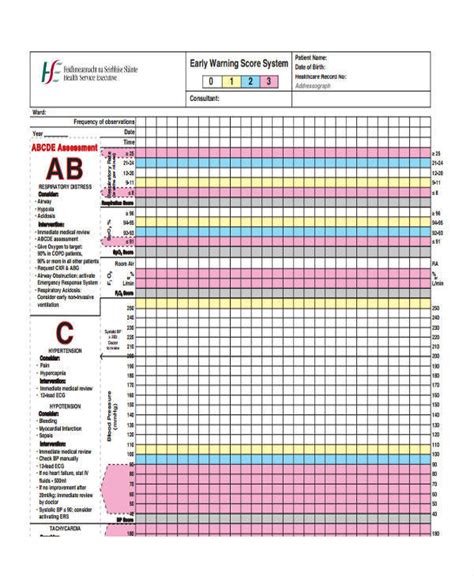 Patient Chart Template