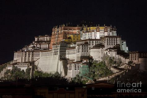 Potala palace at night Photograph by Hitendra SINKAR - Fine Art America