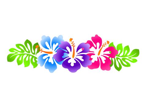 File:Luau-clip-art-borders-free-hibiscus-line-border.svg | Animal Jam ...