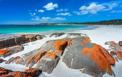 10 Of South Australia’s Best Beaches You Need To Visit | URBAN LIST GLOBAL