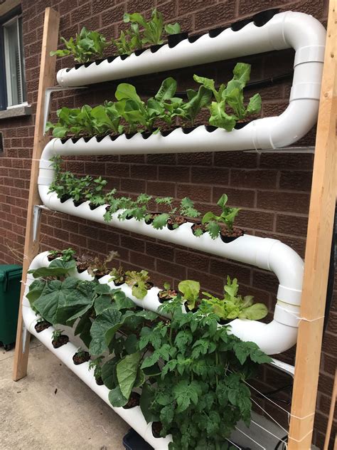 Plastic Rectangular Wall Mount Hydroponic System, Capacity: 65 Plants ...