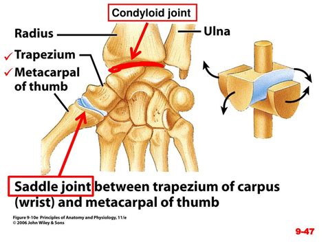 PPT - Chapter 9-- Joints PowerPoint Presentation, free download - ID ...