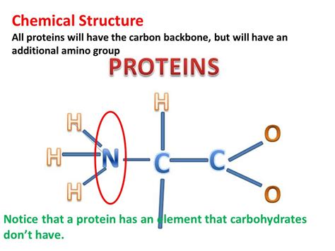 Lecture Notes in Medical Technology: Lecture #10: Proteins