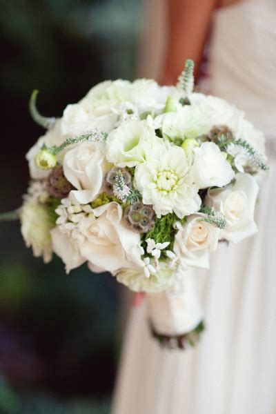 Scabiosa Pods Archives - Bouquet Bouquet