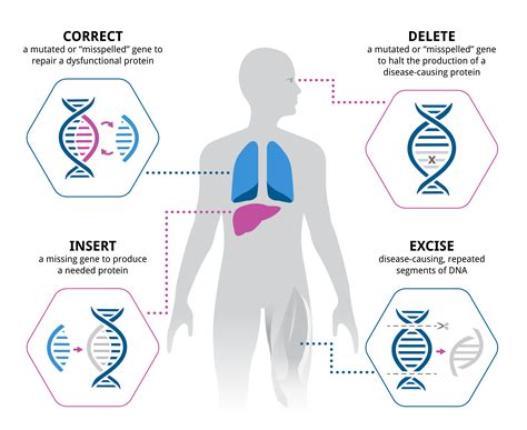 Gene Therapy - Precision BioSciences