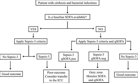 √ Sepsis Criteria / Six Steps For Sepsis Management Health And Willness ...