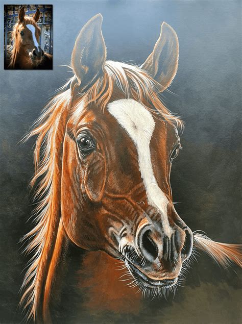 Acrylic horse portrait - Bobbys Hand Drawn Portraits.