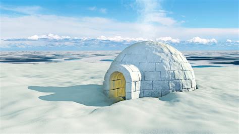 Who Lives In An Igloo House?