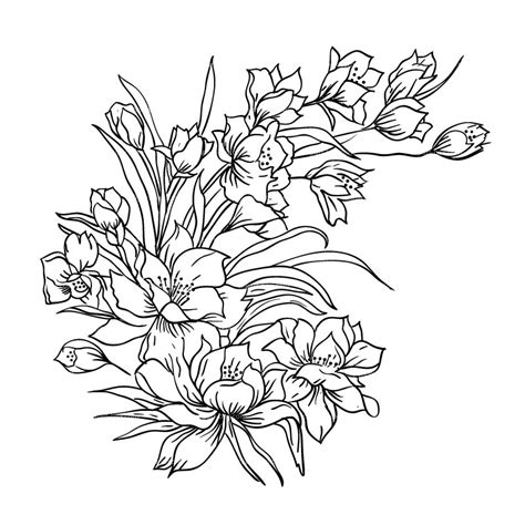 Free Flower Sketch, Download Free Flower Sketch png images, Free ...