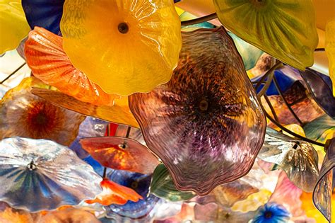 Chihuly in Las Vegas - Enter The Lens