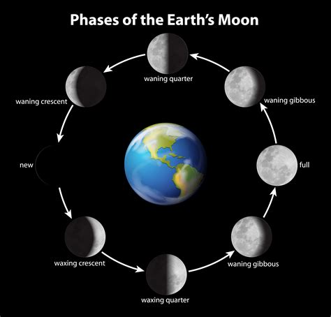 Phases of the Moon 606225 Vector Art at Vecteezy