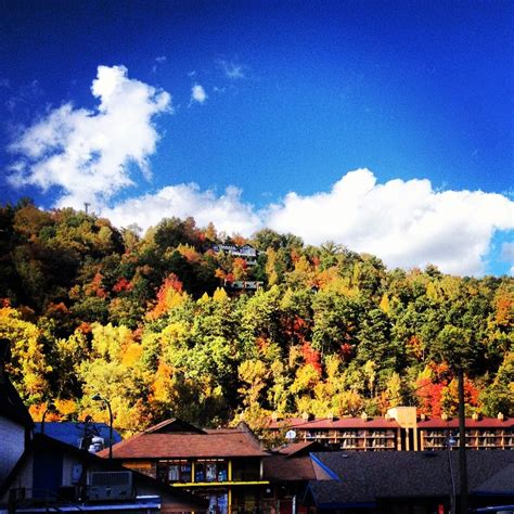 Fall Foliage, Gatlinburg, TN | Fall foliage, Gatlinburg, Travel