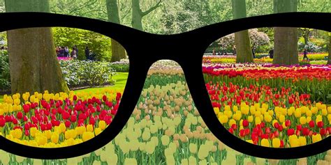 Glasses For Color Blind People ~ wallpaper andri