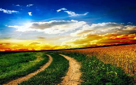 Nature Field Road | HD Wallpapers