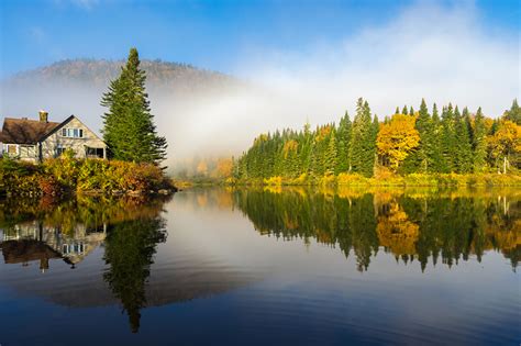 Pictures Nature Canada Autumn Quebec Spruce Lake forest