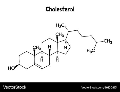 Cholesterol structural formula of molecular Vector Image