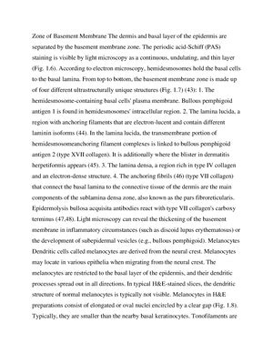 histology pathology - Epidermis The desquamation process allows the ...