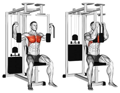 Exercise Database (Chest31) - Pec Deck — Jase Stuart - The Better Body ...