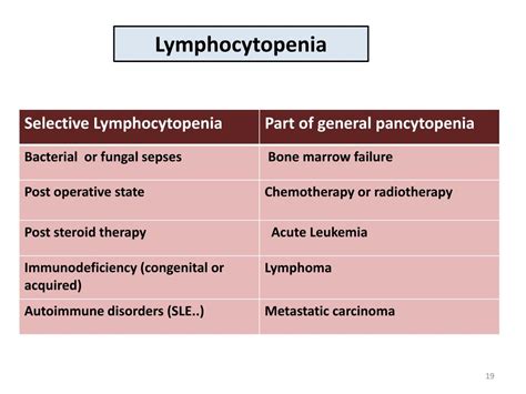 PPT - White Blood Cells PowerPoint Presentation, free download - ID:2363803