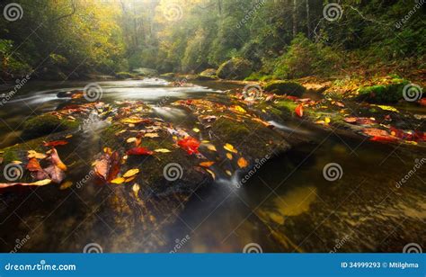 Fall Colors on Appalachian River Stock Image - Image of rocks, north ...