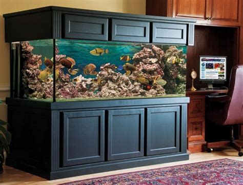 150 Gallon Fish Tank Set Up - Wese Aquarium Fish