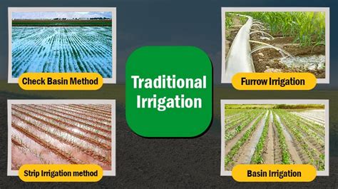 What is Irrigation System? Different Types and Methods of Irrigation