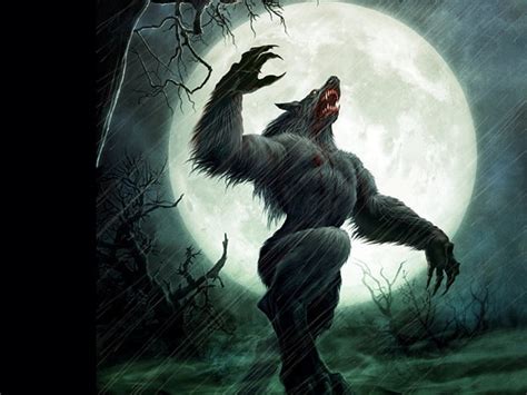 1280x720px | free download | HD wallpaper: werewolf howling under full ...