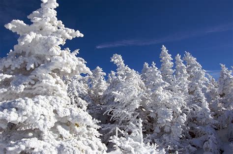 Winter in the Adirondacks | Adirondack Goose Lodge | Lake george ny ...