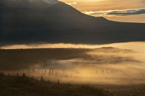 Sunrise and Fog | Carl Johnson Photography