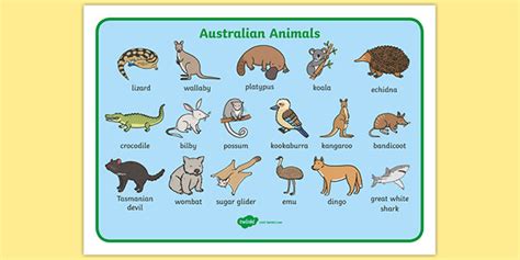 Australian Animals Interactive Labelling Activity