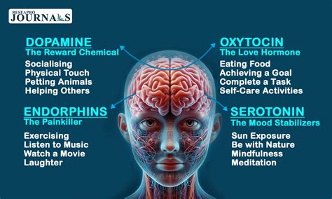 Serotonin, dopamine, endorphins, and oxytocin are vital ...