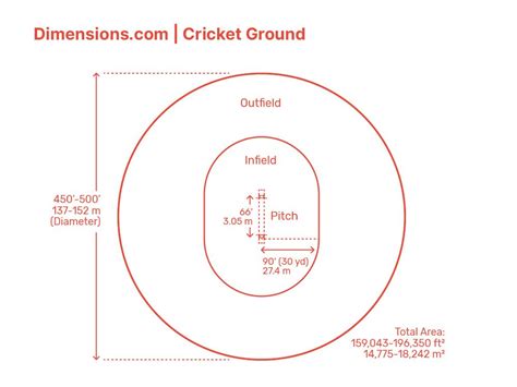 Cricket Ground | Cricket, The outfield, Best whatsapp dp