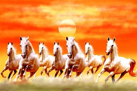 7 horse wallpaper - lasopagain