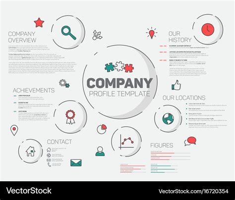 Company infographic profile design template Vector Image