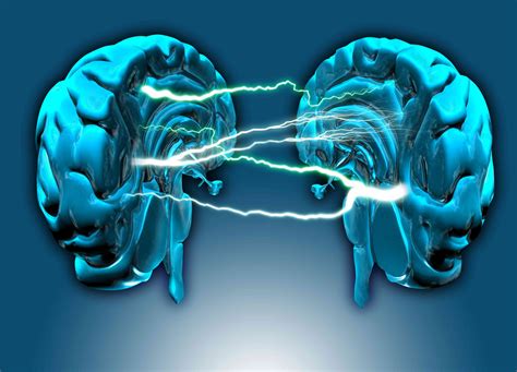 Left Brain vs. Right Brain Dominance: What's the Reality?