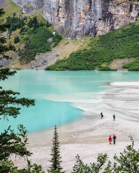 The 8 most spectacular Lake Louise Hikes — Walk My World