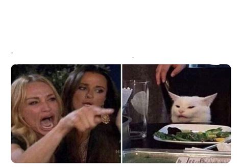 Cat Meme Lady Crying | It's Meme Cats