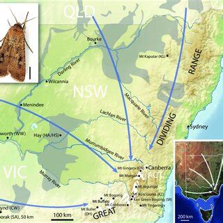 No evidence of population structure was detected in variant data from ...